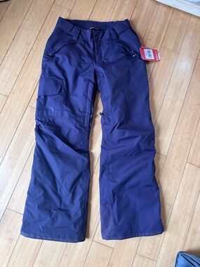 The North Face Dark Eggplant Purple “Freedom” Snow Pants